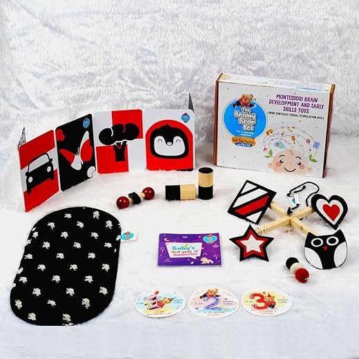 Brainy Bear Box 1 vs. Box 6: Which Wins?